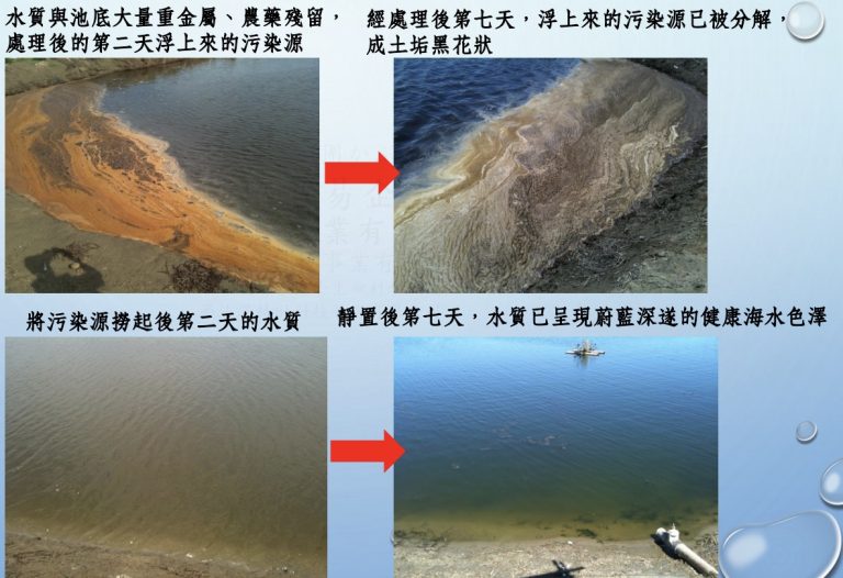 台灣海水養殖-漁塭地改革成功案例