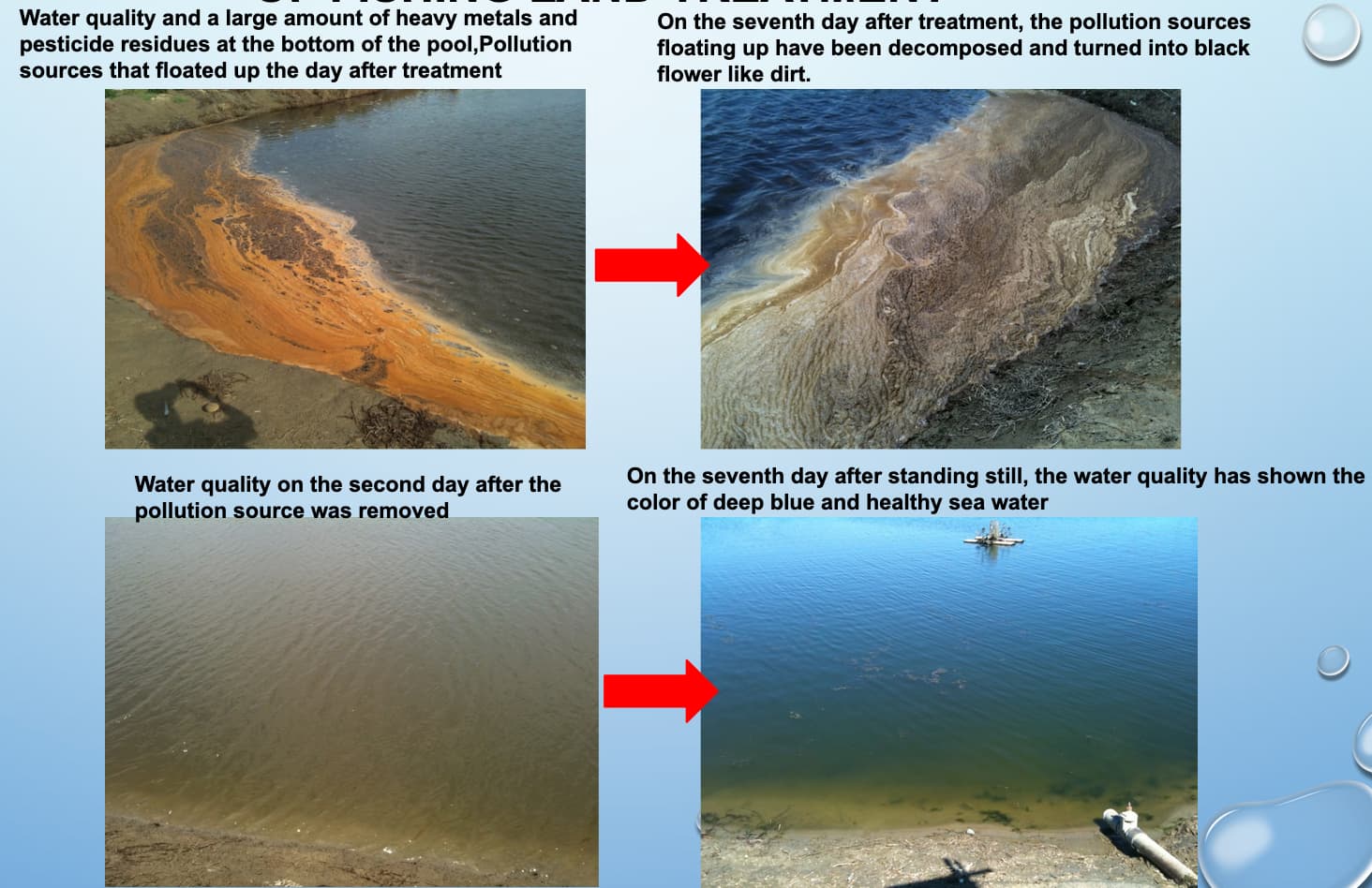 台灣海水養殖-漁塭地改革成功案例